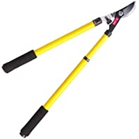 WOLFPACK 8270050 Tijera Podar Profesional Acero Telescópica 2 Manos